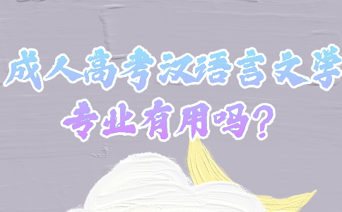 成人高考汉语言文学专业有用吗？